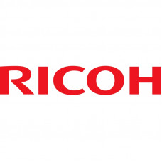 Девелопер Ricoh 1015/1018/1113 type19 (345гр)